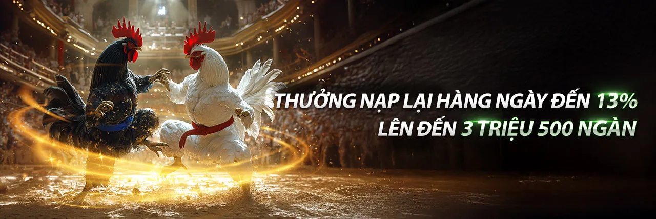 Đá gà trực tuyến kuwin24 link mới